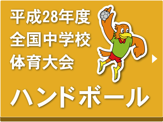 平成28年度全国中学校体育大会「ハンドボール」